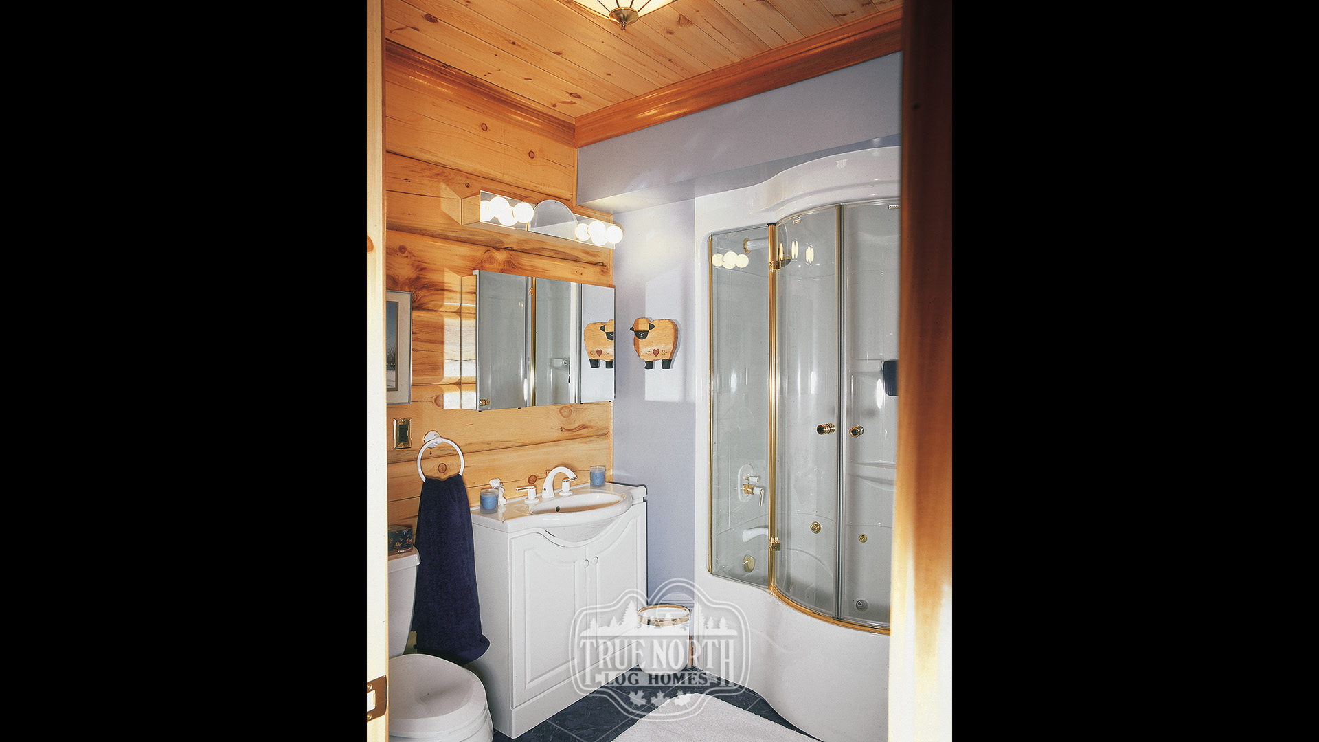 Lafontaine 3 bathroom