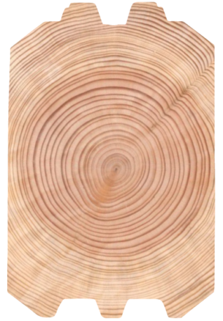 log profile V groove log profile V groove