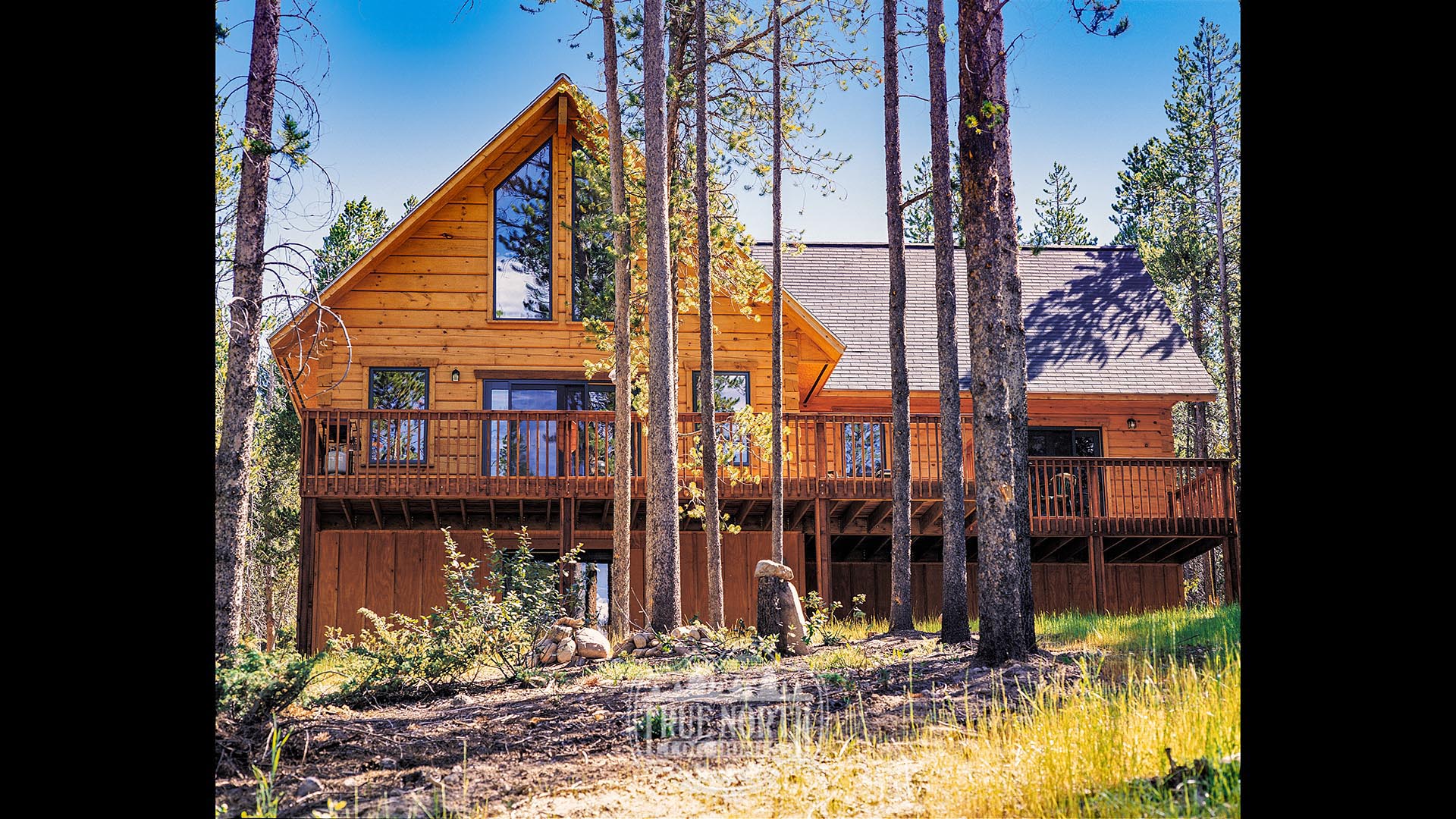 Mackenzie 1 rear view