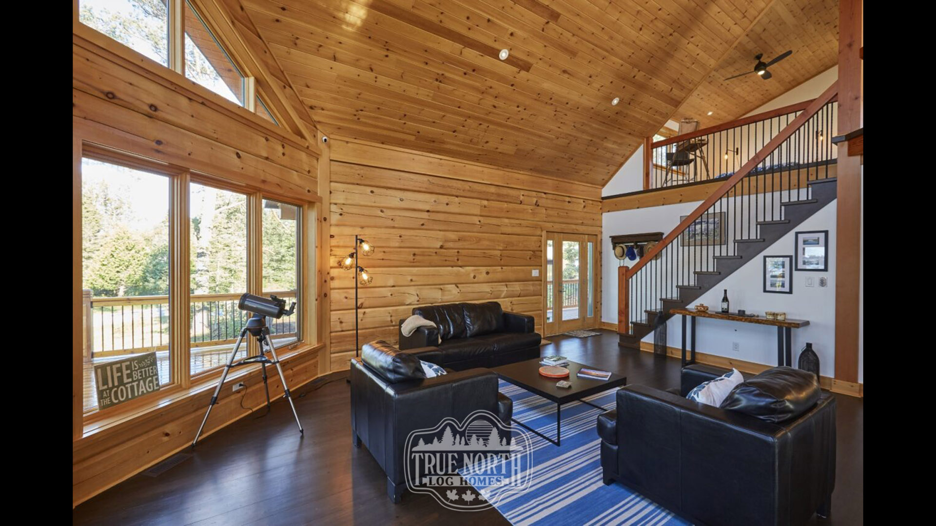 ASPEN 10 living room