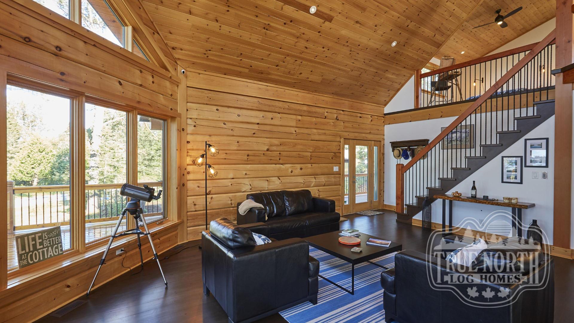 ASPEN 10 living room