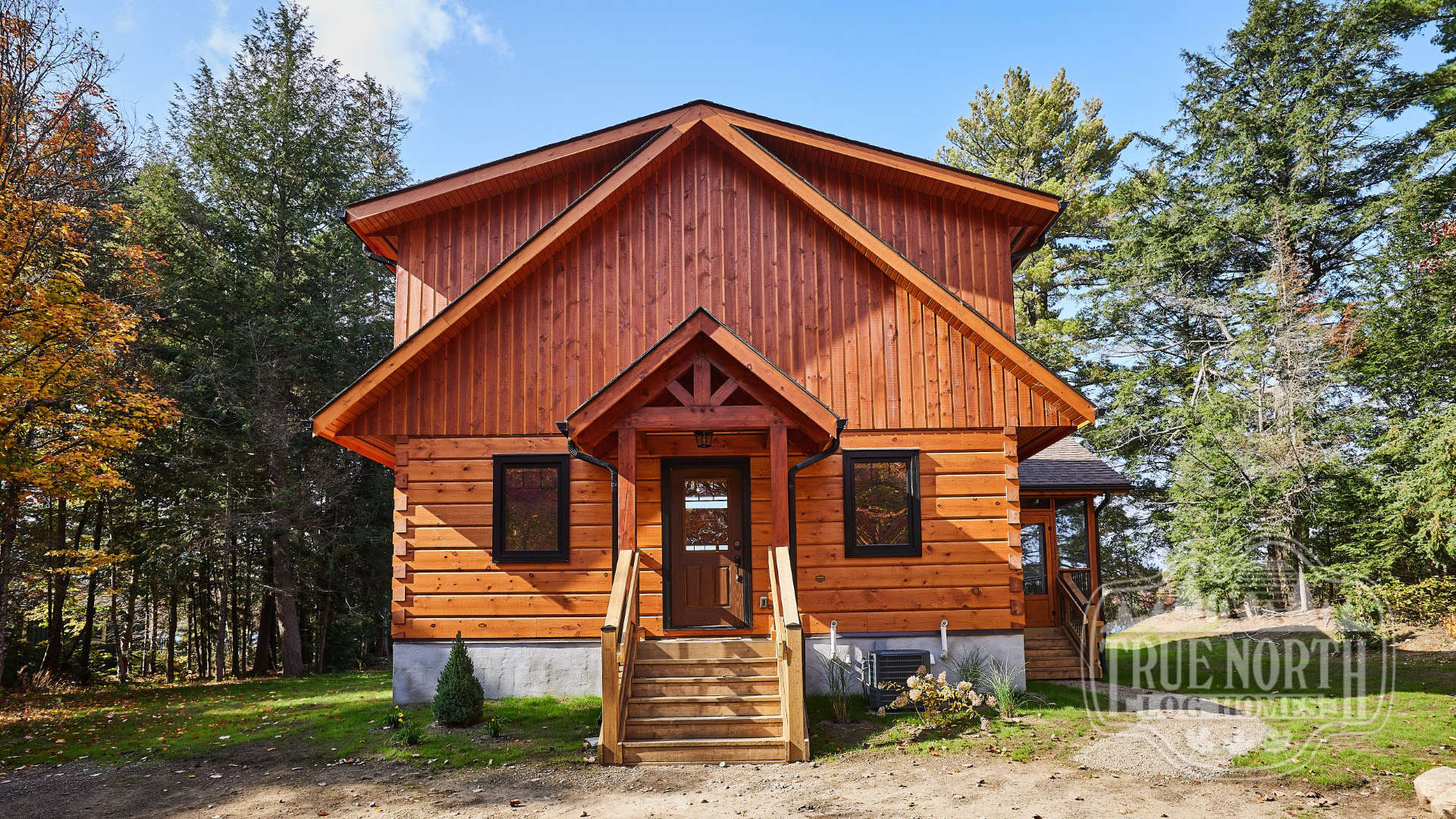 Arrow Head rear view