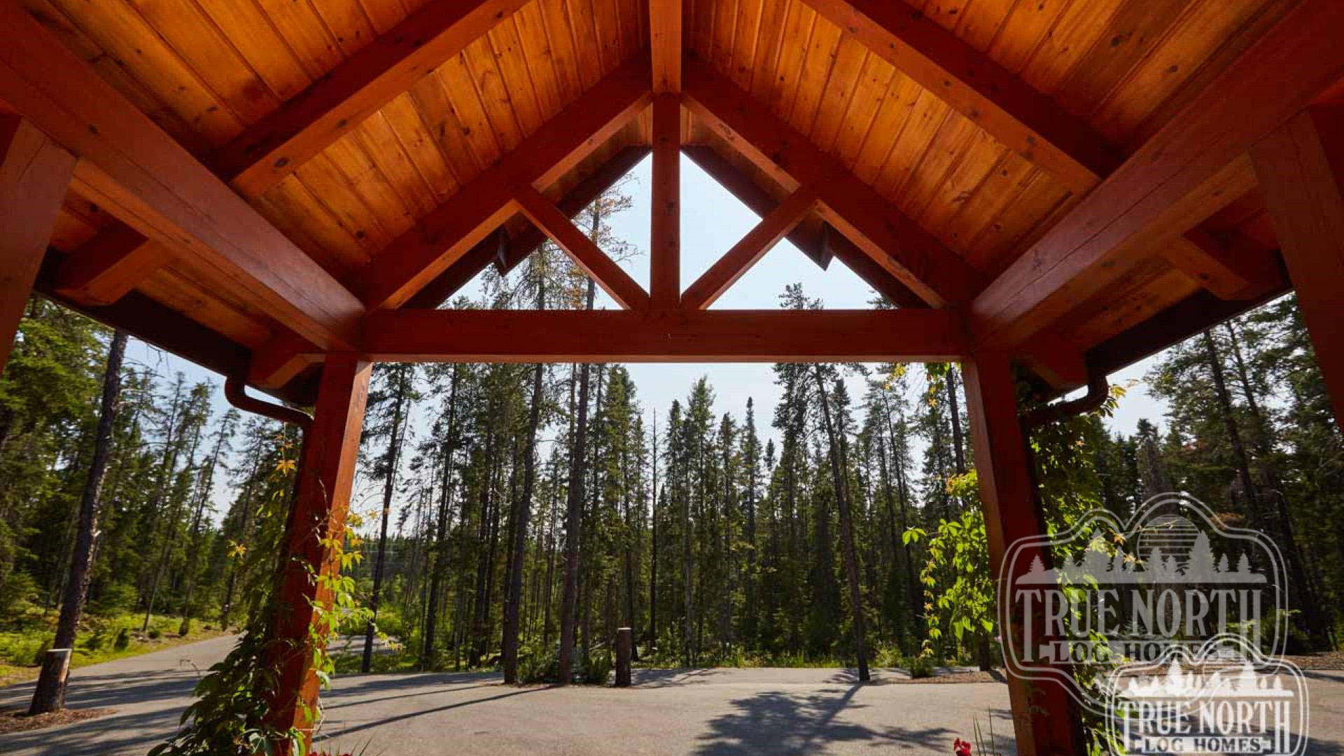 Citadel 11 forest view