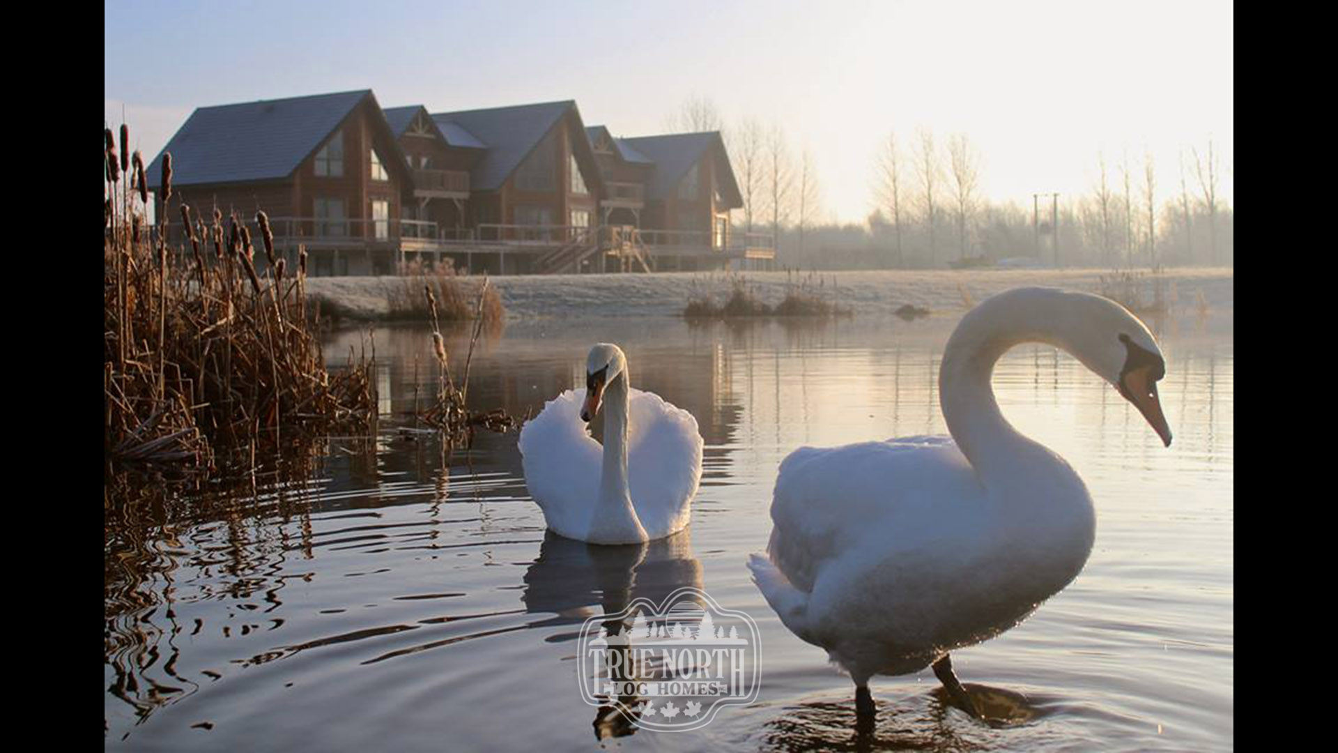 Pine Lake Camp 1 Pond view
