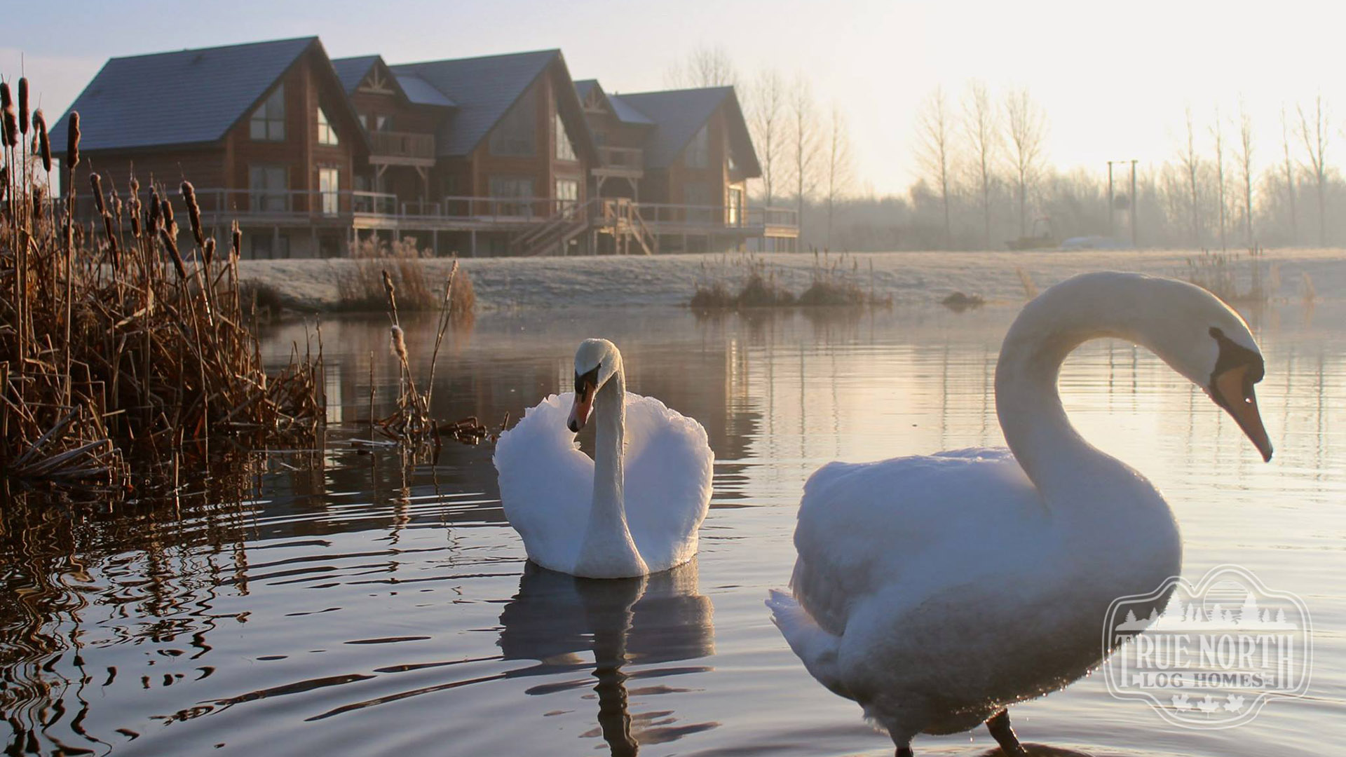Pine Lake Camp 2 lake view